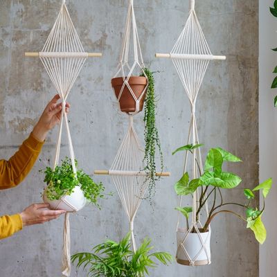 How to Make a Macrame Plant Hanger Guide