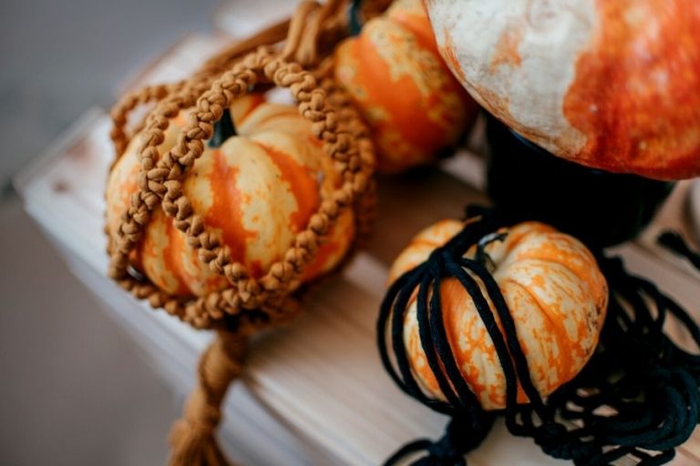 10 Easy DIY Macrame Fall Decor Projects for a Cozy Home
