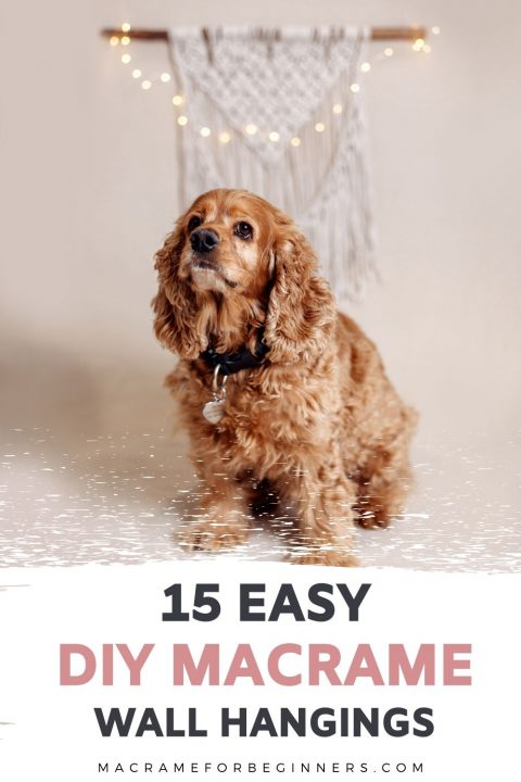 15 DIY Easy Macrame Wall Hangings for Beginners | Macrame for Beginners
