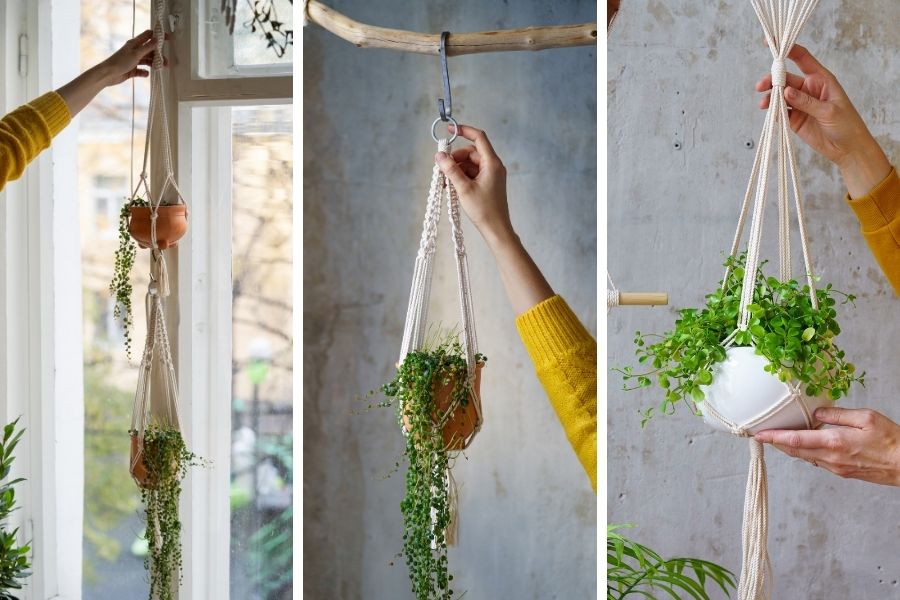How to Make a Macrame Plant Hanger - Best Tips for Beginners