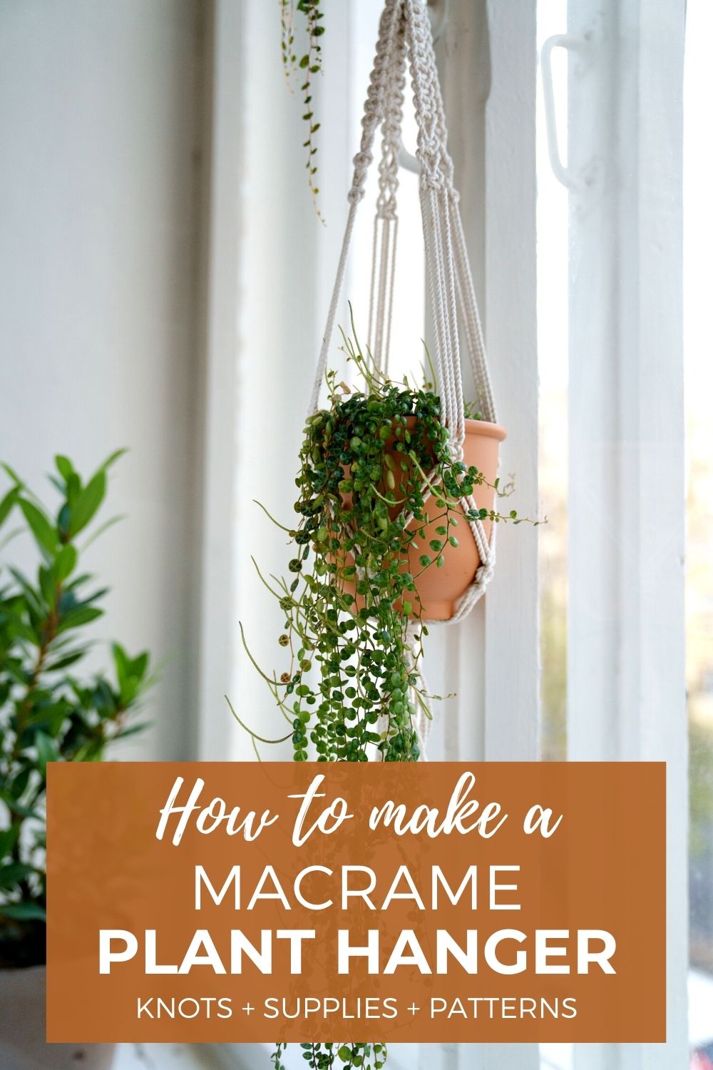 How to Make a Macrame Plant Hanger – Best Tips for Beginners