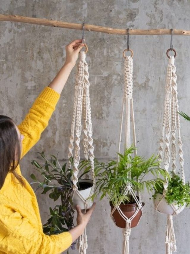 How to Make a Macrame Plant Hanger Story