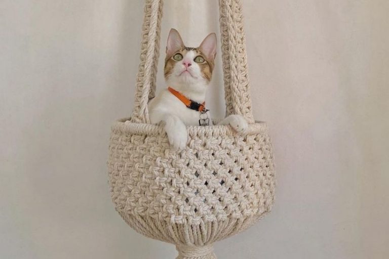 12 Easy DIY Macrame Pet Projects for Your Cats & Dogs